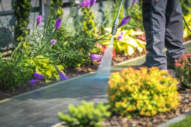 Best Pool Deck Cleaning  in East Moriches, NY